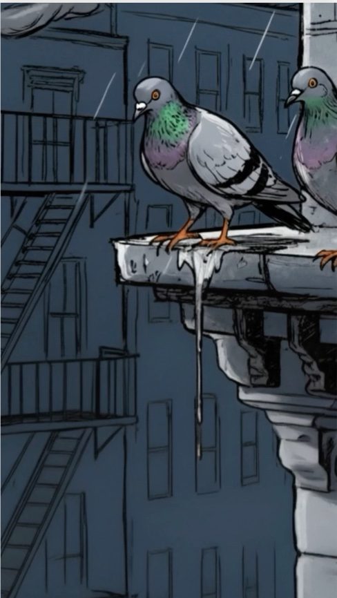 PIGEON PROBLEMS key art